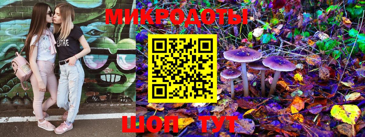 Псилоцибиновые грибы мицелий Томск