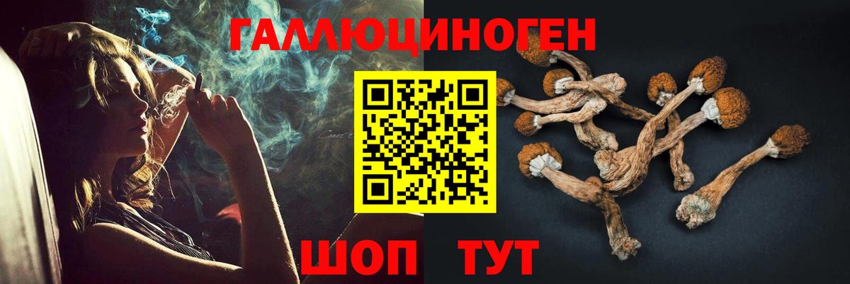 Псилоцибиновые грибы ЛСД  Вход с VPN  Томск 